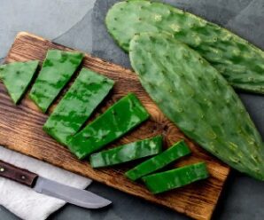 El poder del nopal en nuestra salud