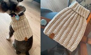 Cómo tejer patrón para lindo chaleco para perrito