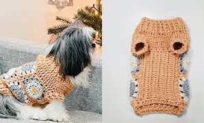 Cómo tejer lindo jersey para perritos.