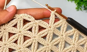 Aprende a tejer precioso patrón de crochet.