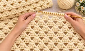 Aprende a tejer preciosa manta, chaleco y cárdigan de ganchillo tunecino.